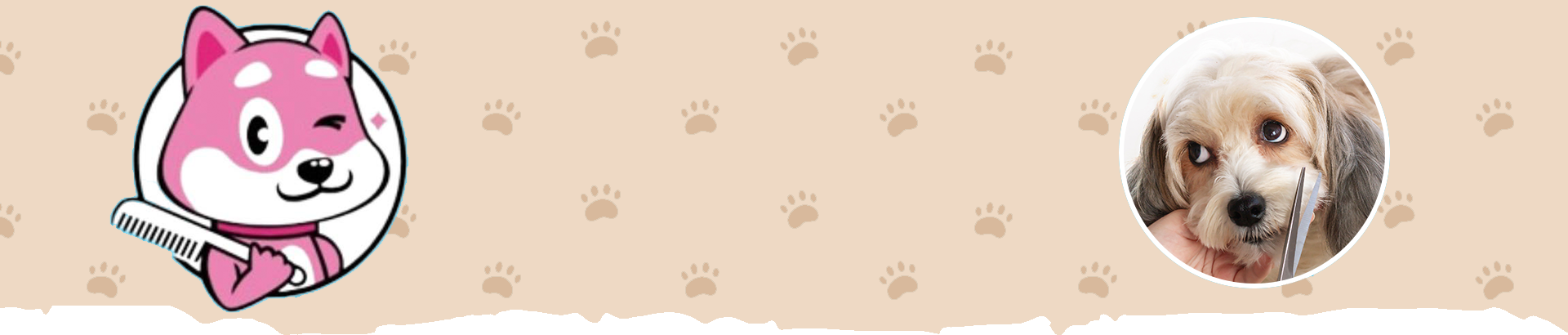 bg-img